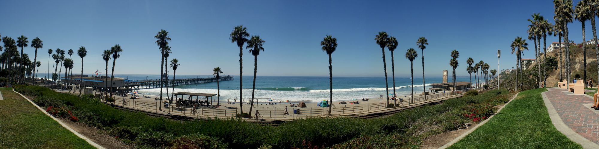 A scenic beach view with many palm trees, a pier extending into the ocean, and blue skies, captured from a grassy area.