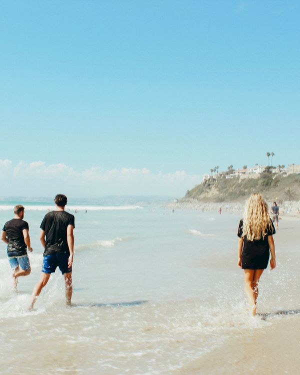 Four people walking along a beach with waves, clear skies, and cliffs in the background, with palm trees lining the coast.