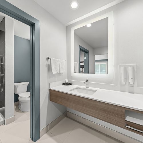 Modern bathroom with a glass shower, toilet, and double-sink vanity with mirror and towel rail.